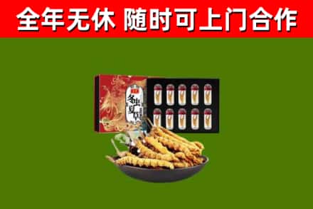 常德市回收冬虫夏草价格