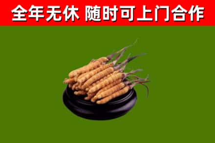 常德市烟酒回收冬虫夏草.jpg